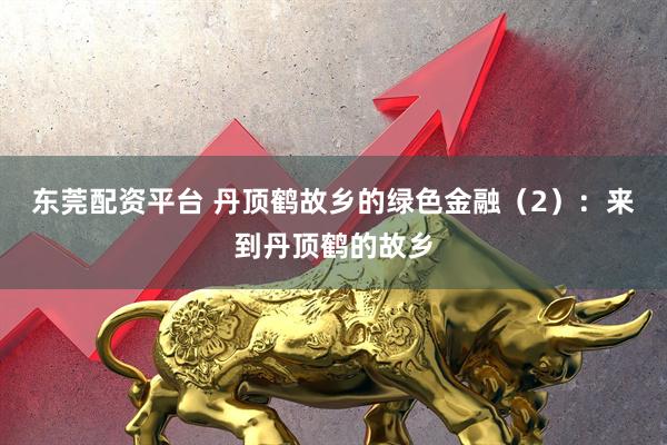 东莞配资平台 丹顶鹤故乡的绿色金融（2）：来到丹顶鹤的故乡